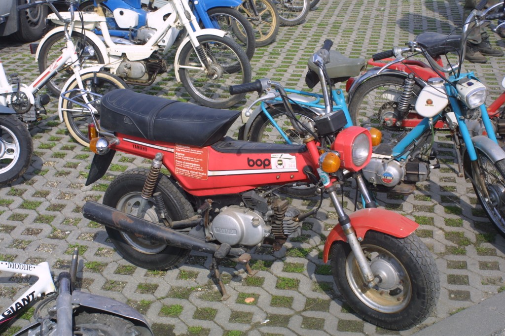 midi_IMG_0834.JPG