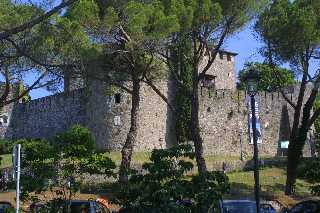 mini_IMG_2330.JPG