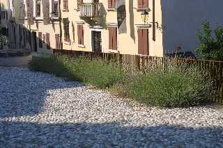 mini_IMG_2337.JPG