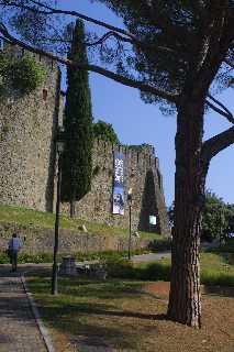 mini_IMG_2338.JPG