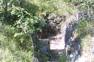 mini_IMG_2359.JPG