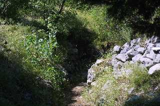 mini_IMG_2360.JPG