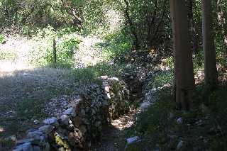 mini_IMG_2362.JPG