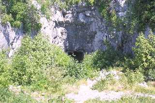 mini_IMG_2367.JPG