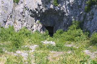 mini_IMG_2368.JPG