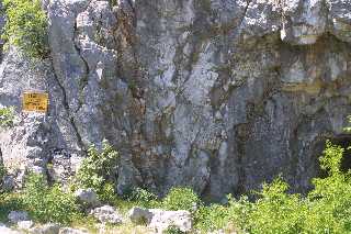 mini_IMG_2372.JPG