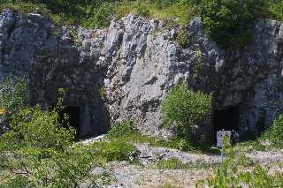 mini_IMG_2373.JPG
