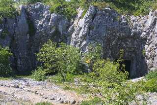 mini_IMG_2374.JPG