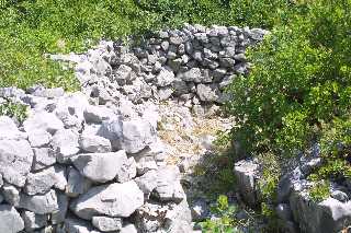 mini_IMG_2384.JPG