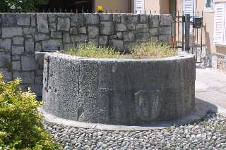 mini_IMG_2391.JPG
