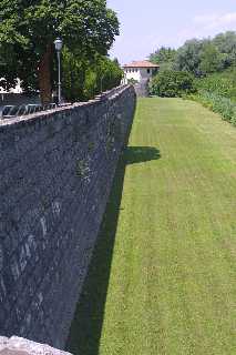 mini_IMG_2395.JPG
