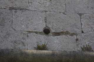 mini_IMG_2399.JPG