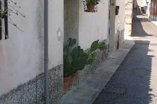 mini_IMG_2406.JPG