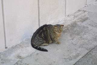 mini_IMG_2408.JPG