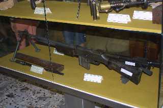 mini_IMG_2436.JPG