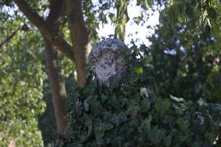 mini_IMG_2462.JPG