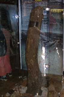mini_IMG_2464.JPG