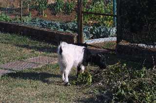 mini_IMG_2469.JPG