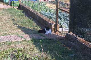 mini_IMG_2470.JPG