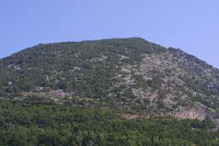 mini_IMG_2474.JPG