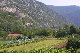 mini_IMG_2475.JPG