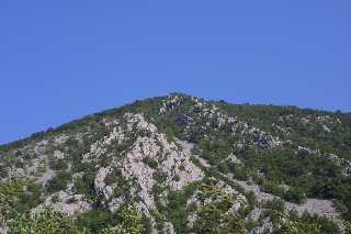 mini_IMG_2481.JPG