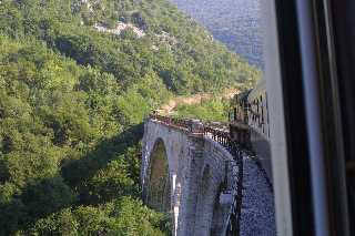 mini_IMG_2483.JPG
