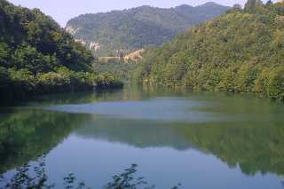mini_IMG_2492.JPG