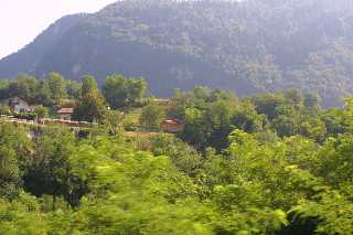 mini_IMG_2493.JPG