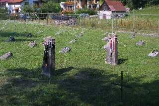 mini_IMG_2504.JPG