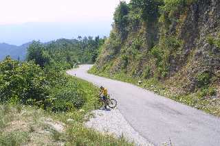mini_IMG_2516.JPG