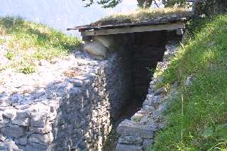 mini_IMG_2518.JPG