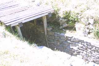 mini_IMG_2519.JPG