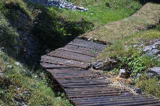 mini_IMG_2520.JPG