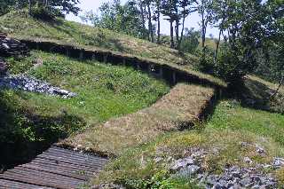 mini_IMG_2521.JPG