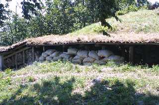 mini_IMG_2523.JPG