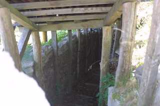 mini_IMG_2525.JPG
