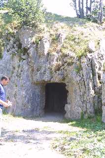 mini_IMG_2527.JPG