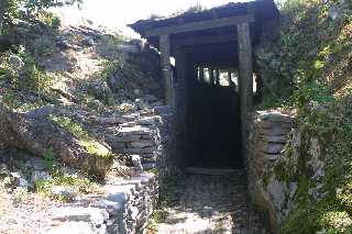 mini_IMG_2529.JPG