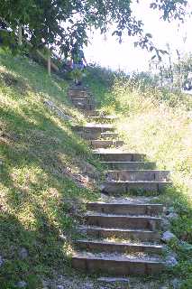 mini_IMG_2530.JPG