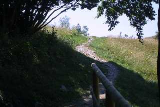 mini_IMG_2533.JPG