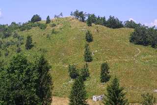 mini_IMG_2534.JPG