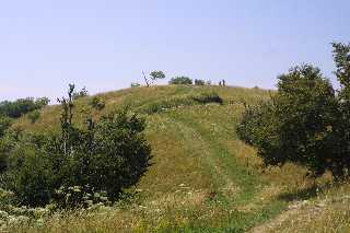 mini_IMG_2535.JPG