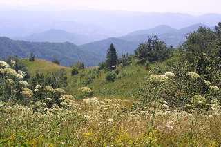 mini_IMG_2536.JPG