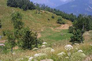 mini_IMG_2537.JPG