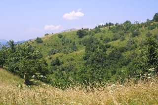 mini_IMG_2538.JPG