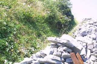 mini_IMG_2539.JPG