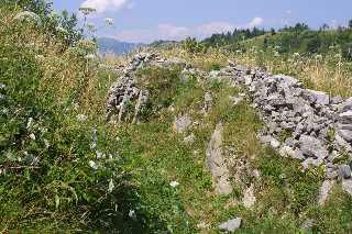 mini_IMG_2540.JPG
