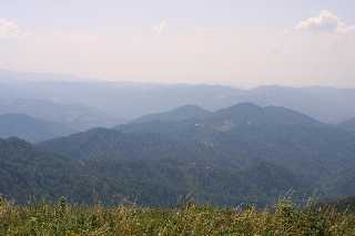 mini_IMG_2542.JPG