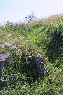 mini_IMG_2545.JPG